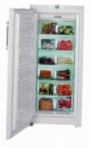 Liebherr GNP 31560 Холодильник \ характеристики, Фото