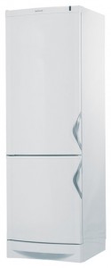 Vestfrost SW 312 MW Холодильник Фото, характеристики