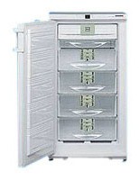 Liebherr GSNP 2026 Холодильник Фото, характеристики
