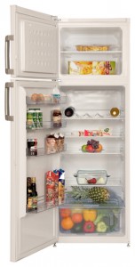 BEKO DS 233020 Холодильник Фото, характеристики