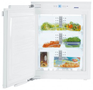 Liebherr IGN 1054 Refrigerator larawan, katangian