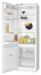 ATLANT ХМ 6024-027 Refrigerator larawan, katangian