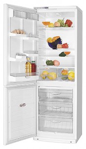 ATLANT ХМ 6019-027 Tủ lạnh ảnh, đặc điểm