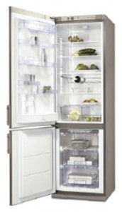 Electrolux ERB 36098 X Refrigerator larawan, katangian