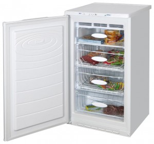 NORD 161-010 Tủ lạnh ảnh, đặc điểm