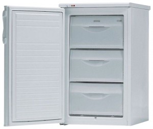 Gorenje F 3101 W Холодильник Фото, характеристики