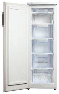 Delfa DRF-144FN Refrigerator larawan, katangian