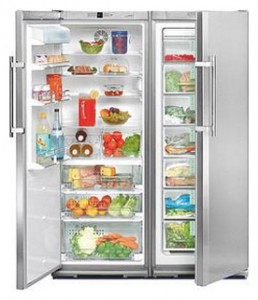 Liebherr SBSes 6102 Холодильник Фото, характеристики
