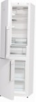 Gorenje RK 61 FSY2W Refrigerator \ katangian, larawan