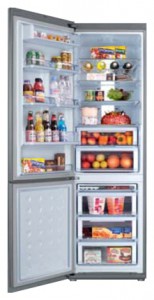 Samsung RL-55 VQBRS Refrigerator larawan, katangian