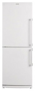 Blomberg KSM 1640 A+ Refrigerator larawan, katangian