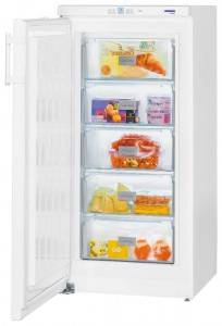 Liebherr GP 2033 Холодильник фото, Характеристики