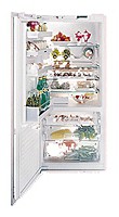 Gaggenau IK 961-126 Холодильник Фото, характеристики