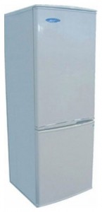 Evgo ER-2871M Холодильник Фото, характеристики