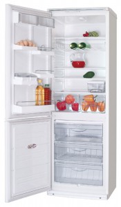 ATLANT ХМ 6019-013 Холодильник фото, Характеристики