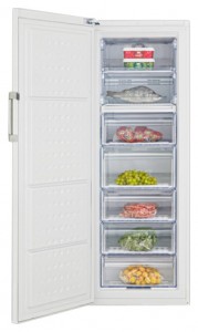 BEKO FN 126420 Refrigerator larawan, katangian