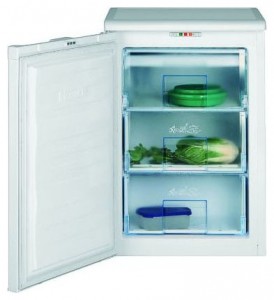 BEKO FSE 1010 Refrigerator larawan, katangian