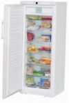 Liebherr GNP 2906 Холодильник \ Характеристики, фото