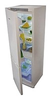 Snaige RF34SM-S10001 Buzdolabı fotoğraf, özellikleri