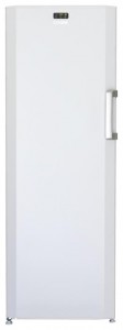 BEKO FN 121920 Refrigerator larawan, katangian