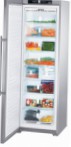 Liebherr SGNes 3011 Холодильник \ Характеристики, фото