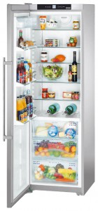 Liebherr SKBes 4210 Refrigerator larawan, katangian