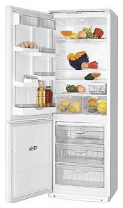 ATLANT ХМ 5013-000 Холодильник Фото, характеристики