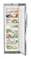 Liebherr GNes 2866 Refrigerator larawan, katangian