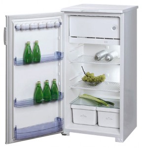 Бирюса 10 ЕK Хладилник снимка, Характеристики