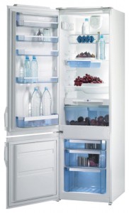 Gorenje RK 45298 W Refrigerator larawan, katangian