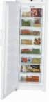 Liebherr GN 4113 Kjøleskap \ kjennetegn, Bilde