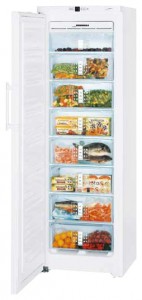 Liebherr GN 3023 Холодильник Фото, характеристики