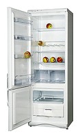 Snaige RF315-1T03А Refrigerator larawan, katangian