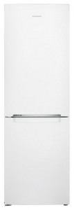 Samsung RB-29 HSR2DWW Refrigerator larawan, katangian