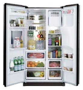 Samsung RSH5ZLBG Tủ lạnh ảnh, đặc điểm