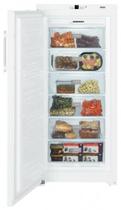 Liebherr GN 3113 Refrigerator larawan, katangian