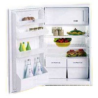 Zanussi ZI 7163 Холодильник фото, Характеристики