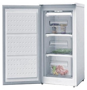 Wellton GF-80 Холодильник Фото, характеристики