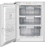 Bosch GIL1040 Refrigerator larawan, katangian