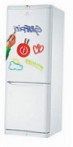 Indesit BEAA 35 P graffiti Холодильник \ Характеристики, фото