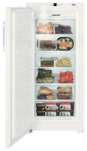 Liebherr GNP 3113 Холодильник фото, Характеристики
