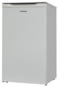 Delfa BD-80 Refrigerator larawan, katangian