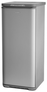 Бирюса M146SN Tủ lạnh ảnh, đặc điểm