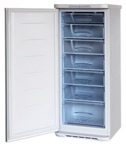 Бирюса 146SN Refrigerator larawan, katangian
