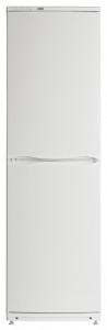 ATLANT ХМ 6023-031 Refrigerator larawan, katangian