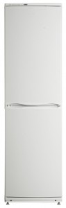 ATLANT ХМ 6025-031 Холодильник фото, Характеристики