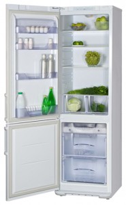 Бирюса 144 KLS Refrigerator larawan, katangian