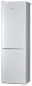 Pozis RD-149 Refrigerator larawan, katangian