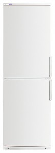 ATLANT ХМ 4025-100 Холодильник Фото, характеристики