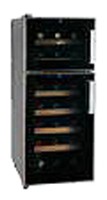 Ecotronic WCM2-21DE Kühlschrank Foto, Charakteristik